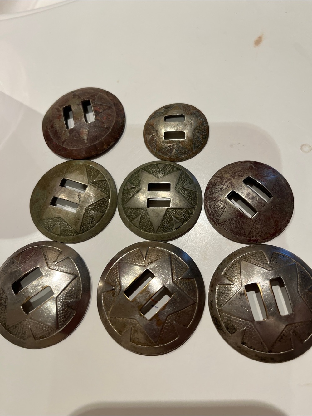 Decorative Western Star Conchs in Mixed- Set of 8